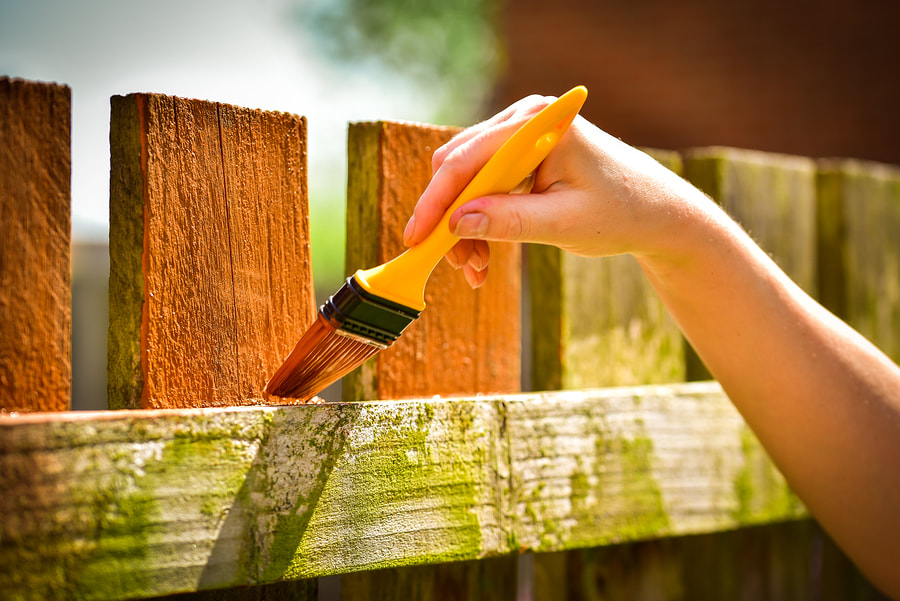 professional painter doing fence painting 